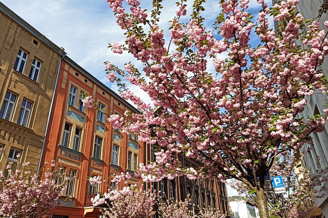 Evening Walking Tour With Dumplings & Beer Review - Schedule and Availability