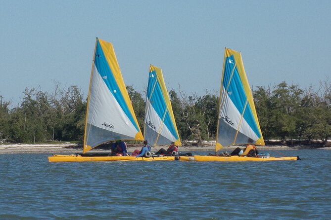 Everglades National Park Kayak/Learn to Sail Tour - Wildlife Spotting Opportunities