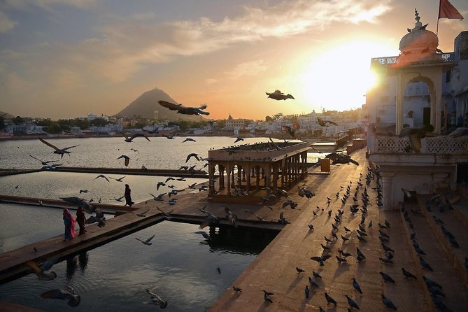 Exclusive: Guided Pushkar Day Trip From Jaipur - Inclusions and Amenities