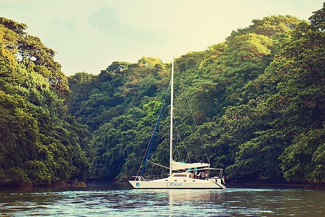 Exclusive Private Catamaran Adventure: Ile Aux Cerf (Full Day Cruise Incl Lunch) - Cancellation and Pricing Information