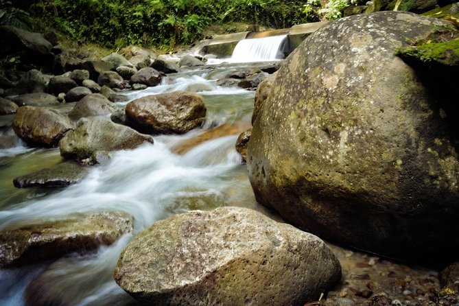Excursions in the North or in the South of Martinique - Included Amenities and Offerings