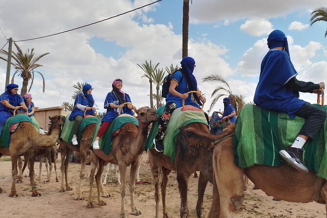 Experience Camel Ride Sunset or Anytime - Private Tour and Pickup Details