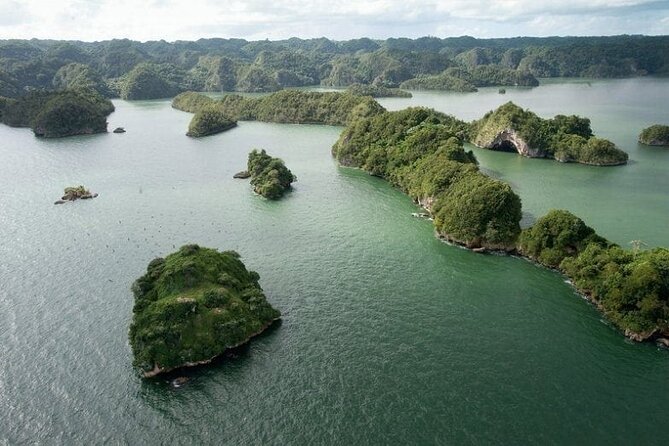 Exploration of Mangroves and Wildlife Los Haitises. - Pickup and Transportation