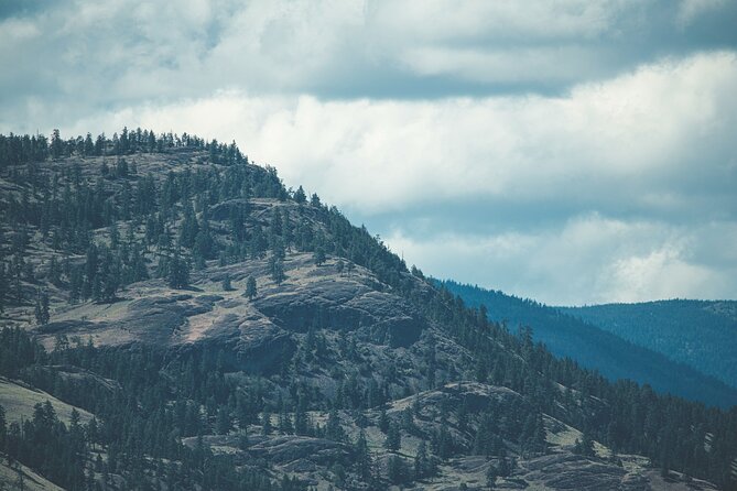 Explore and Learn the Natural Wonders of Summerland - Activities and Learning