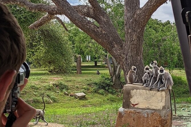Explore Beauty Of Yala (Ruhuna) National Park From South Coast in One Day. - Travel Logistics to Yala