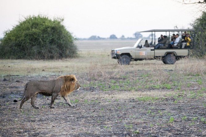 Explore Chobe National Park With a Day Trip From Victoria Falls - Meeting and Pickup Details