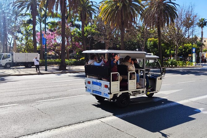 Explore Malaga by TukTuki : Essentials and Private Tour - Meeting and Pickup Details