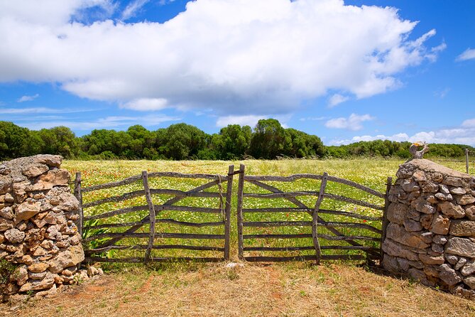 Explore the East Coast of Menorca: Hiking and Visiting Vineyards - Discovering Menorcas Vineyards