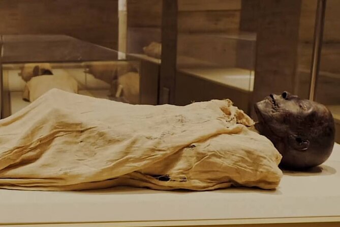 Explore The Egyptian History To Visit National Museum of Egyptian Civilization - Meeting and Pickup Process