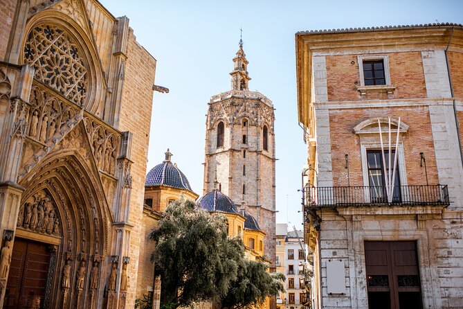 Explore Valencia in 60 Minutes With a Local - Renowned Landmarks