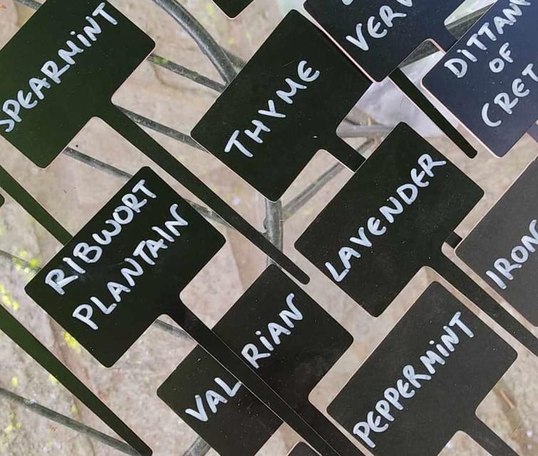 Exploring Herbal Treasures: A Guided Herbal Walk on Pelion - Experience Highlights
