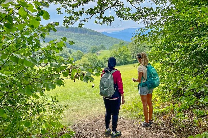 Exploring the Gutenstein Alps - Inclusions and Fees