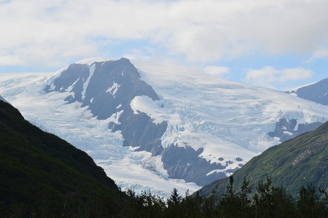 Exquisite Wildlife & Wilderness Photo Tour Anchorage -Whittier - Capturing Wildlife Encounters
