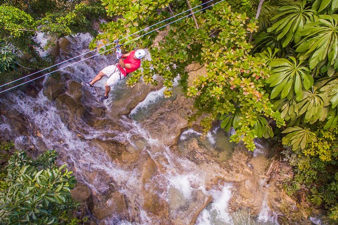 Falls Flyer Zipline and Dunns River Falls Adventure Tour From Montego Bay - Ziplining Adventure
