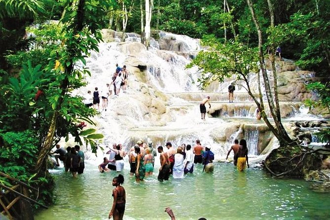 Falmouth Shore Excursion: Dunns River Falls Express Plus Souvenir Shopping - Tour Conditions