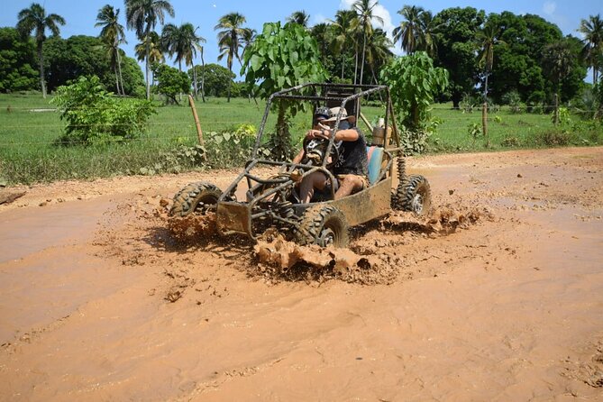 Family Buggy Ride Through the Dominican Countryside - Location and Operator