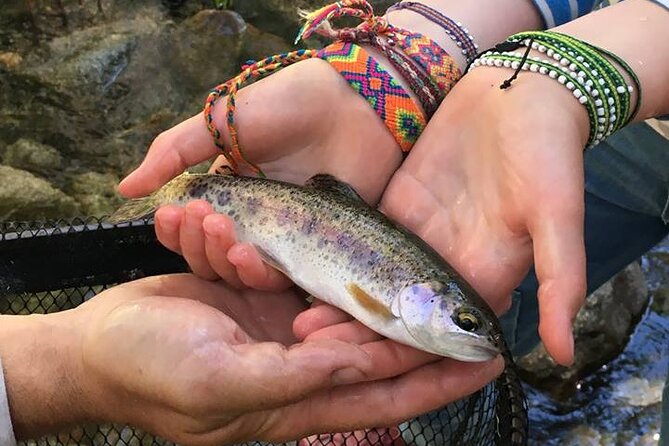 Family Fun Private Half Day Fly Fishing Adventure - Ecological Education and Conservation