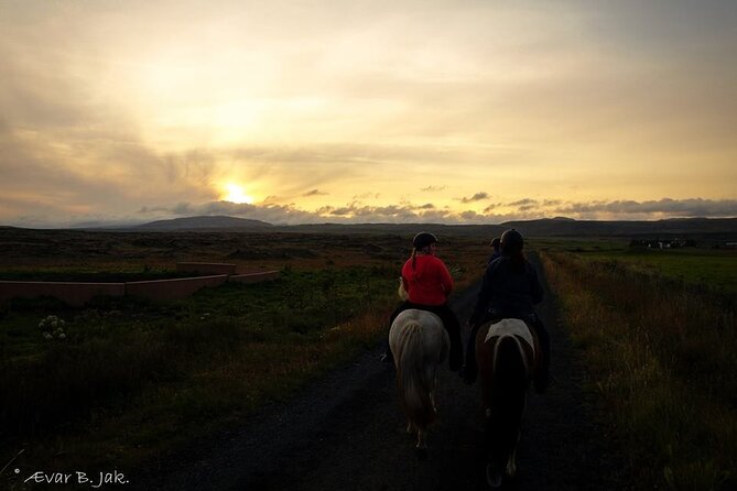 Family Horse Riding Tour in Thorlakshofn - Support and Inquiries