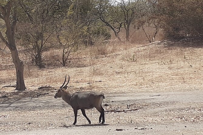 Fathala Wildlife Park - Transportation Options