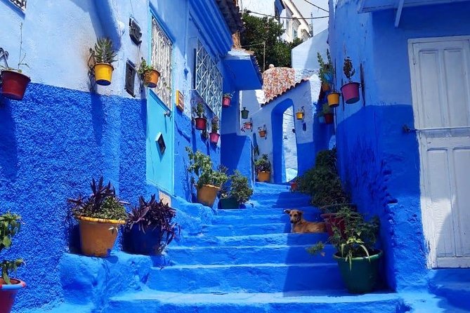 Fes to Chefchaouen Day Trip - Exploring Chefchaouen