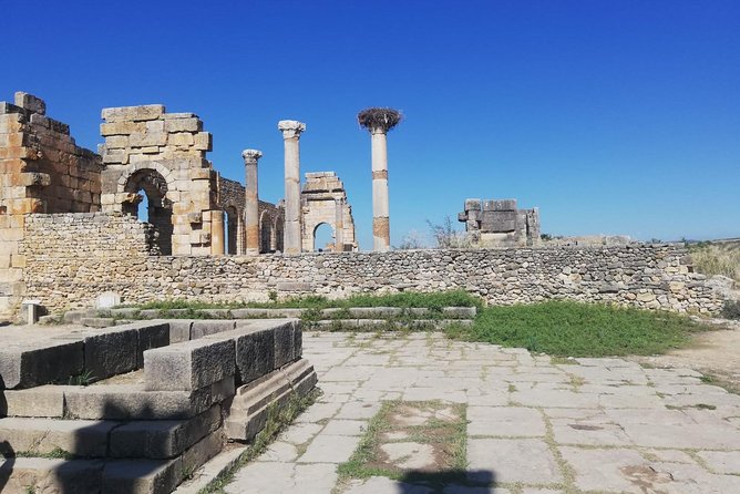 Fes to Volubilis, Moulay Idriss and Meknes Private Day Trip - Accessibility and Participation
