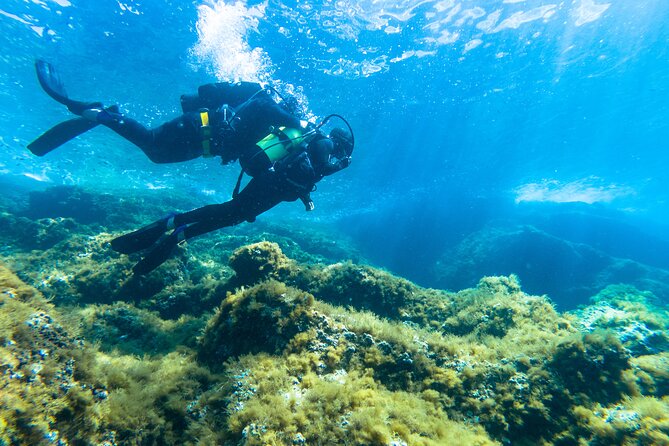 First Dive in Nice - Inclusions