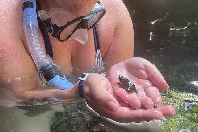 Five Cenotes Jungle Experience in the Riviera Maya - Inclusions and Highlights