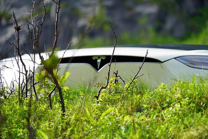 Fjord Sightseeing - Eco Friendly Tesla Model X - Location and Meeting Points