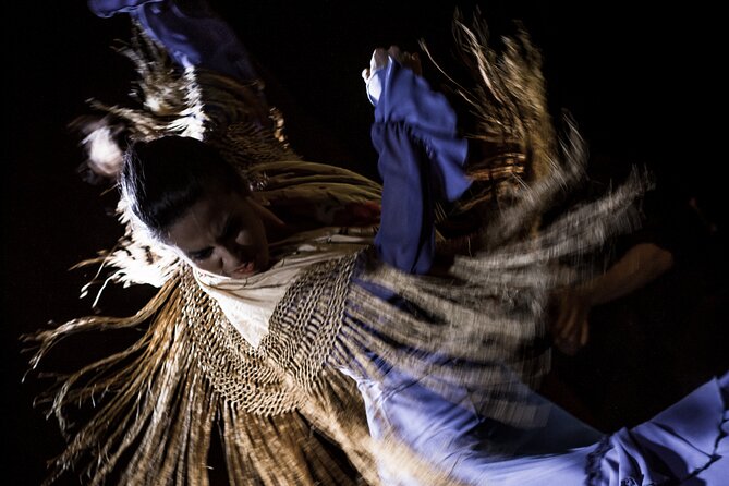 Flamenco Show at Café Ziryab: Madrid - Insightful Guest Reviews