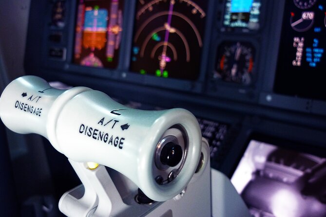 Flight Simulator Experience LONG RANGE 90 Minutes - Meeting and Pickup