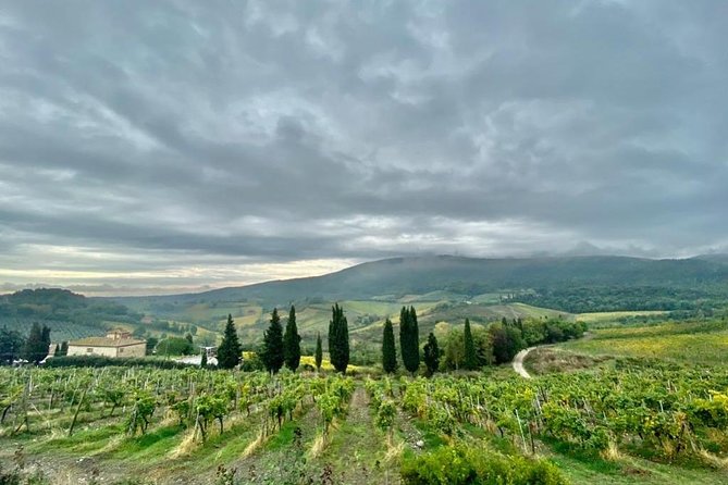 Florence Roundtrip From La Spezia Port - Guided Exploration and Museum Visits