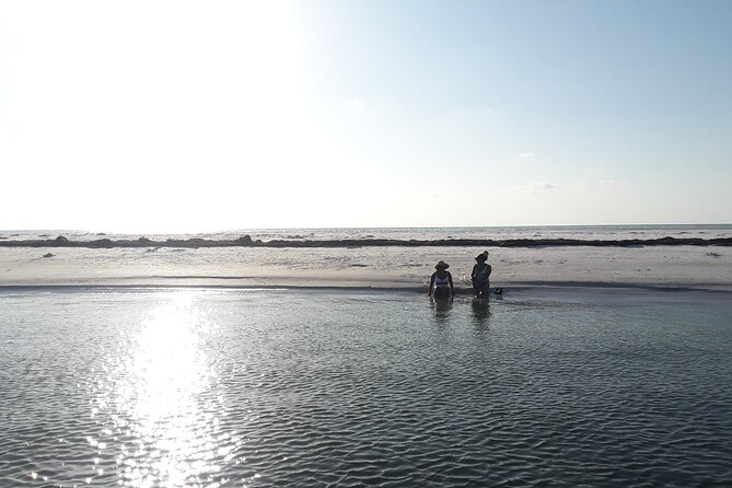 Floridas Beautiful Beaches and Waterways Private Tour - Inclusions and Amenities
