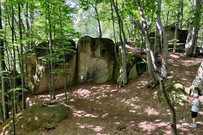 Forest Trails & Legends: Rasnov Hike to Breathtaking Views - Traveler Photos Showcase Scenic Hike