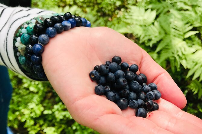 Forestbathing and Natural Spring Water - in Stockholm Nature - Pickup and Meeting Details