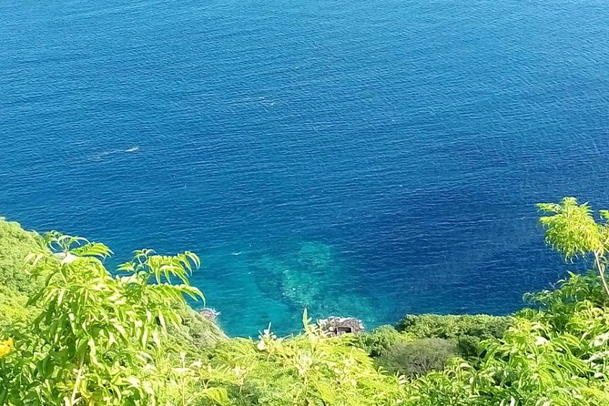 Fort Charlotte, Botanical Gardens and Kingstown Tours With Detention Tours - Tour Features