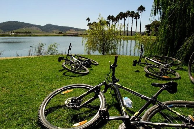 Franschhoek Half Day Winelands Cycle Tour - Highlights of the Tour