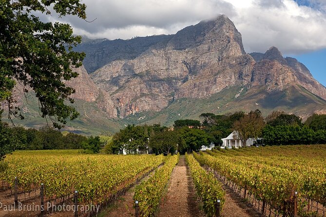 Franschhoek Wine Tram Hop-On Hop-Off Tour From Cape Town. - Inclusions and Amenities