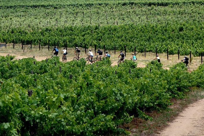 Franschhoek Winelands Luxury EBike Tour - Inclusions and Exclusions