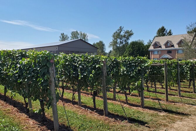 Fraser Valley Wine Tour With a Light Lunch From Vancouver - Inclusions