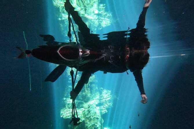 Freediving Discovery Day in Tulum! - Meeting and Pickup