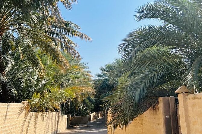 From Abu Dhabi Hotels : Private Al Ain Full-Day With Car and Driver - Inclusions and Amenities
