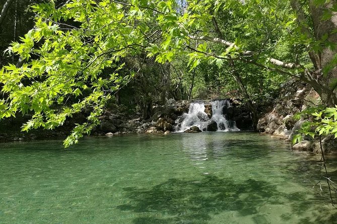 From Alanya & Side: Sapadere Canyon Tour Review - Transportation and Accessibility