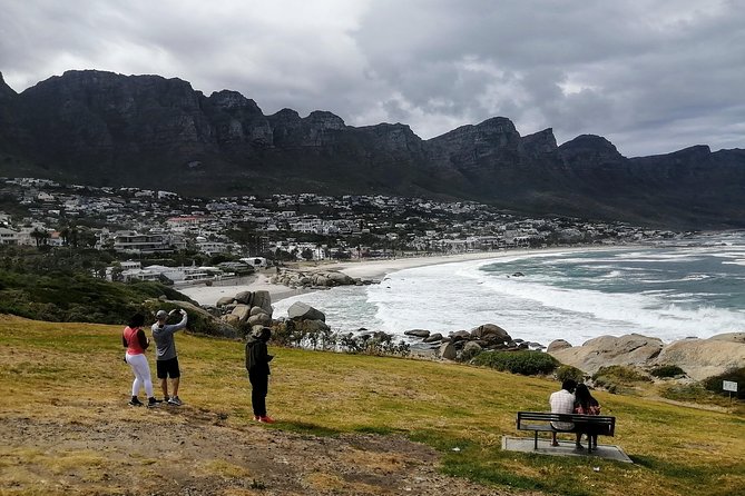From CapeTown:TableMountain,Penguins &Wine Testing in Constantia - Exploring Table Mountain