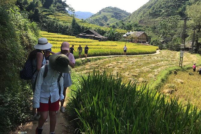 From Hanoi: 3 Days Luxury Sapa Trek & Fansipan Peak With Dcar - Health and Safety Guidelines