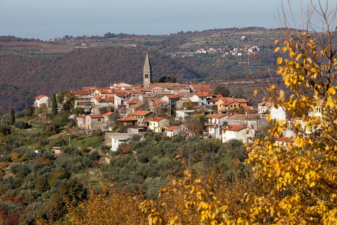 From Koper: Pirans Tastes and Tales - Cancellation Policy