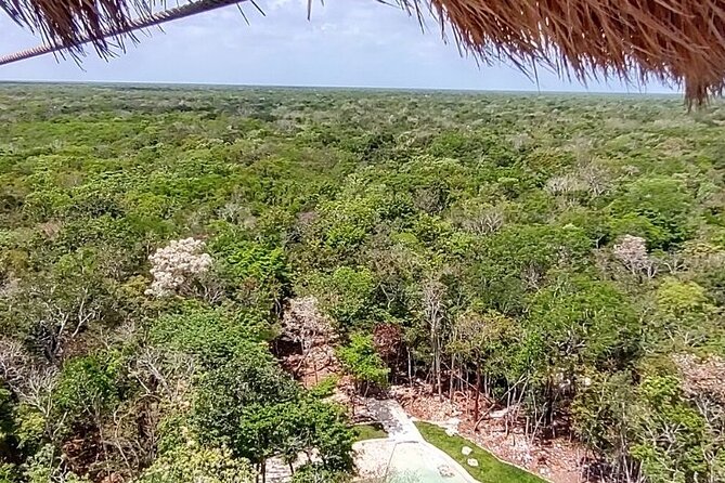 From Playa Del Carmen: Maya Adrenaline - 1 KM ZIPLINE - Included Features