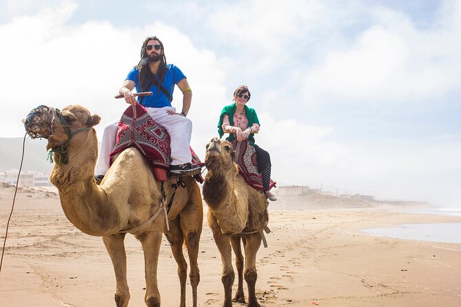 From Taghazoute : 2 Hours Agadir Camel Ride With Transfers and Tea Break - Inclusions and Highlights