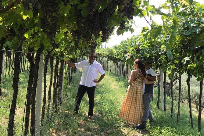 From Verona: Prosecco & Classic Method Sparkling Wine Tour, With Light Lunch - Meeting Details