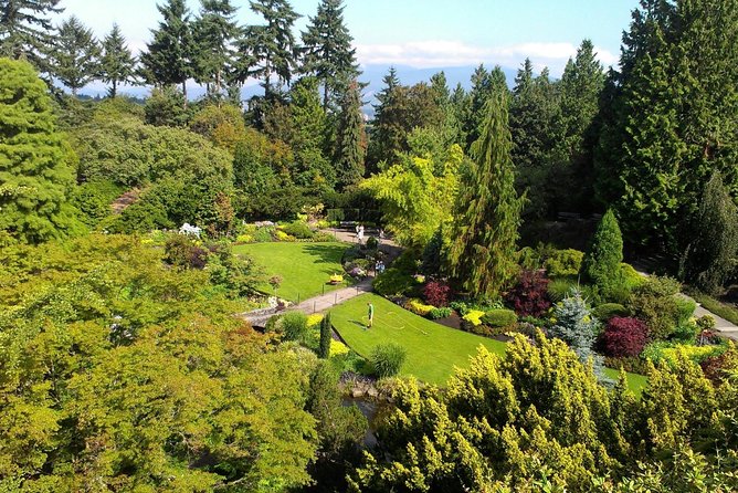 Full Day Best of Vancouver Private City and Gardens Tour - Morning Activities