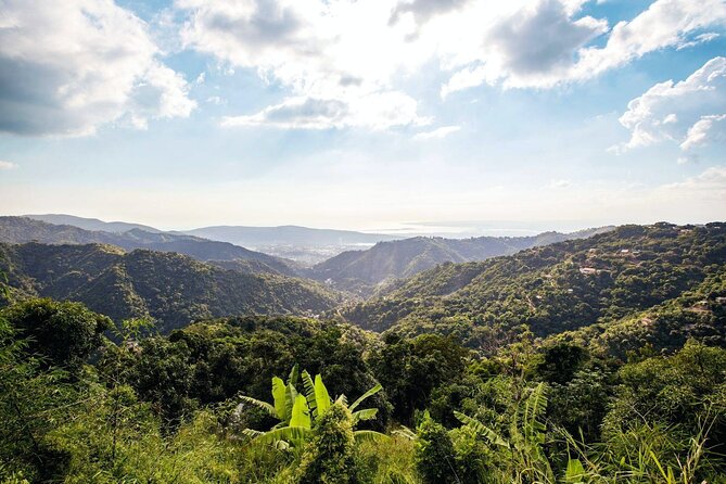 Full Day Blue Mountains Tour Including Lunch - Pickup Information